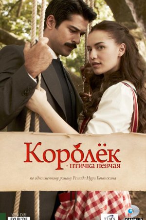 Королек – птичка певчая